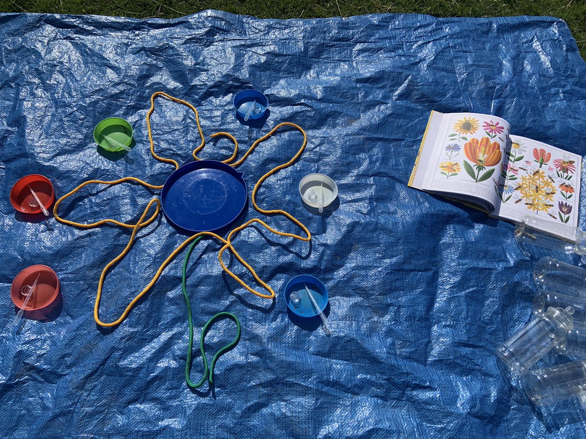 EdadventuresM's tweet photo. Reception are going to be #askingaquestion today @GreatSciShare about how bees suck up nectar and how they transfer pollen to other plants via a few #outdoorlearning games 😀 https://t.co/sEEbkBDOHM