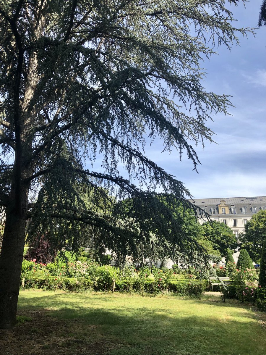 Qui se croirait au cœur de Paris et au vert d’un établissement de soins ? Moment très agréable, apaisant, sous le charme des oiseaux qui dialoguent en joie. J’aime mon quartier 🤗.
⁦@CliniqueSJD⁩ 
⁦<a href="/SaintJeandeDieu/">Saint Jean de Dieu</a>⁩ 
#Paris7