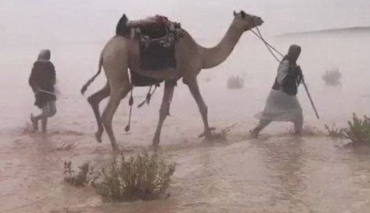 glbaoi's tweet photo. واهني من راح يمشي في غرامه 
في طرف ذووده تتله في هواها . https://t.co/PYPOBq0mx5
