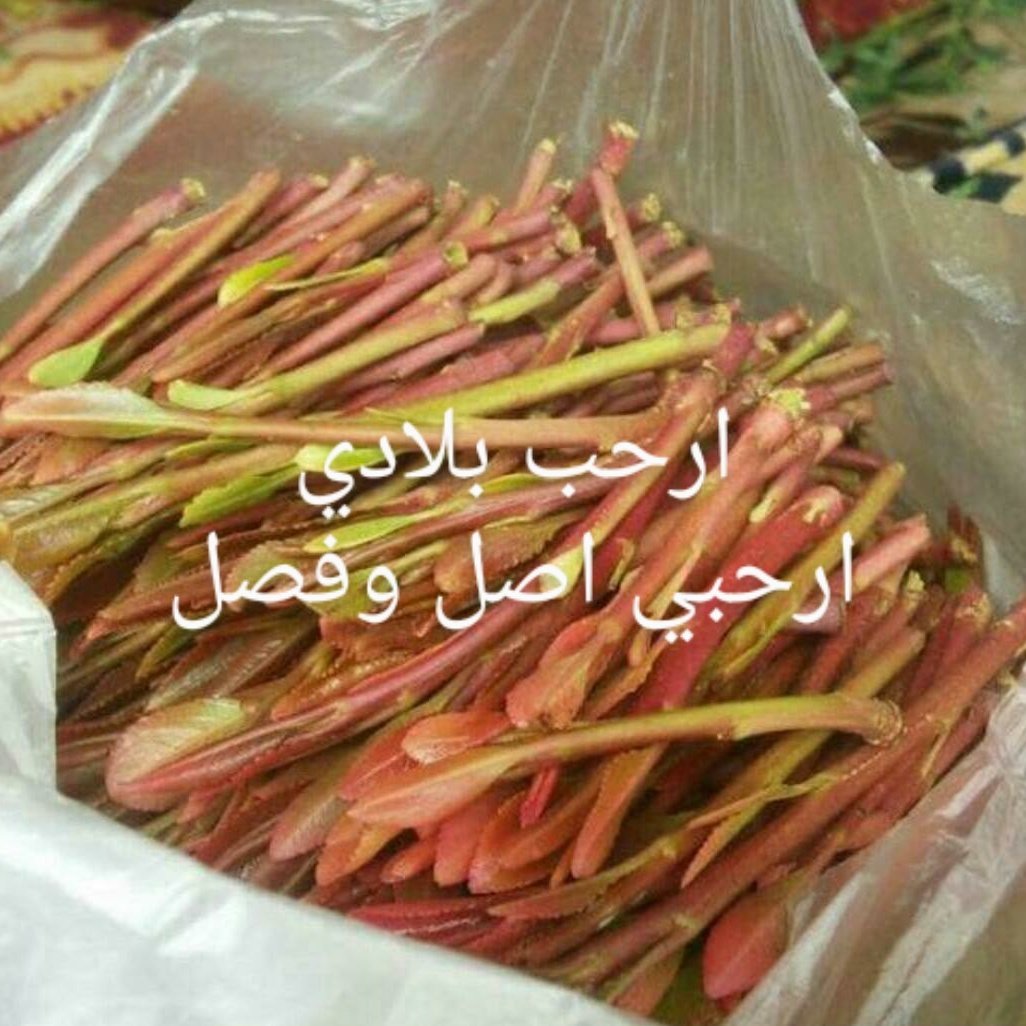 الا حمام الخاوي بصنعاء حمام بخار روعه
والقات ارحبي يا عسل