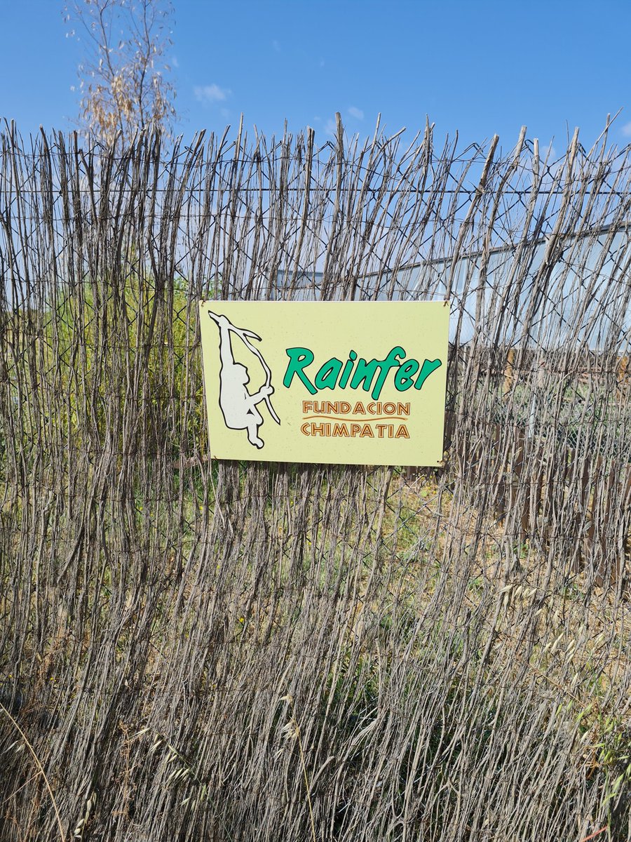 We are here!!! <a href="/HBSTORREJON/">Humanitas Torrejón</a> <a href="/MacarenaInf/">Macarena</a> @SaraH_HBST <a href="/HbstMartam/">MartaM_HBST</a>