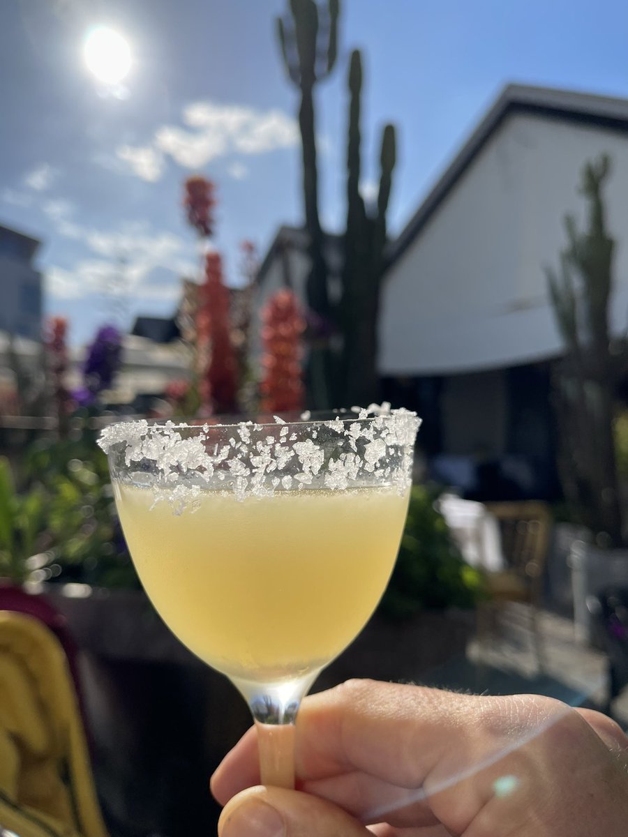 Anyone got plans today? 🍋 🍸