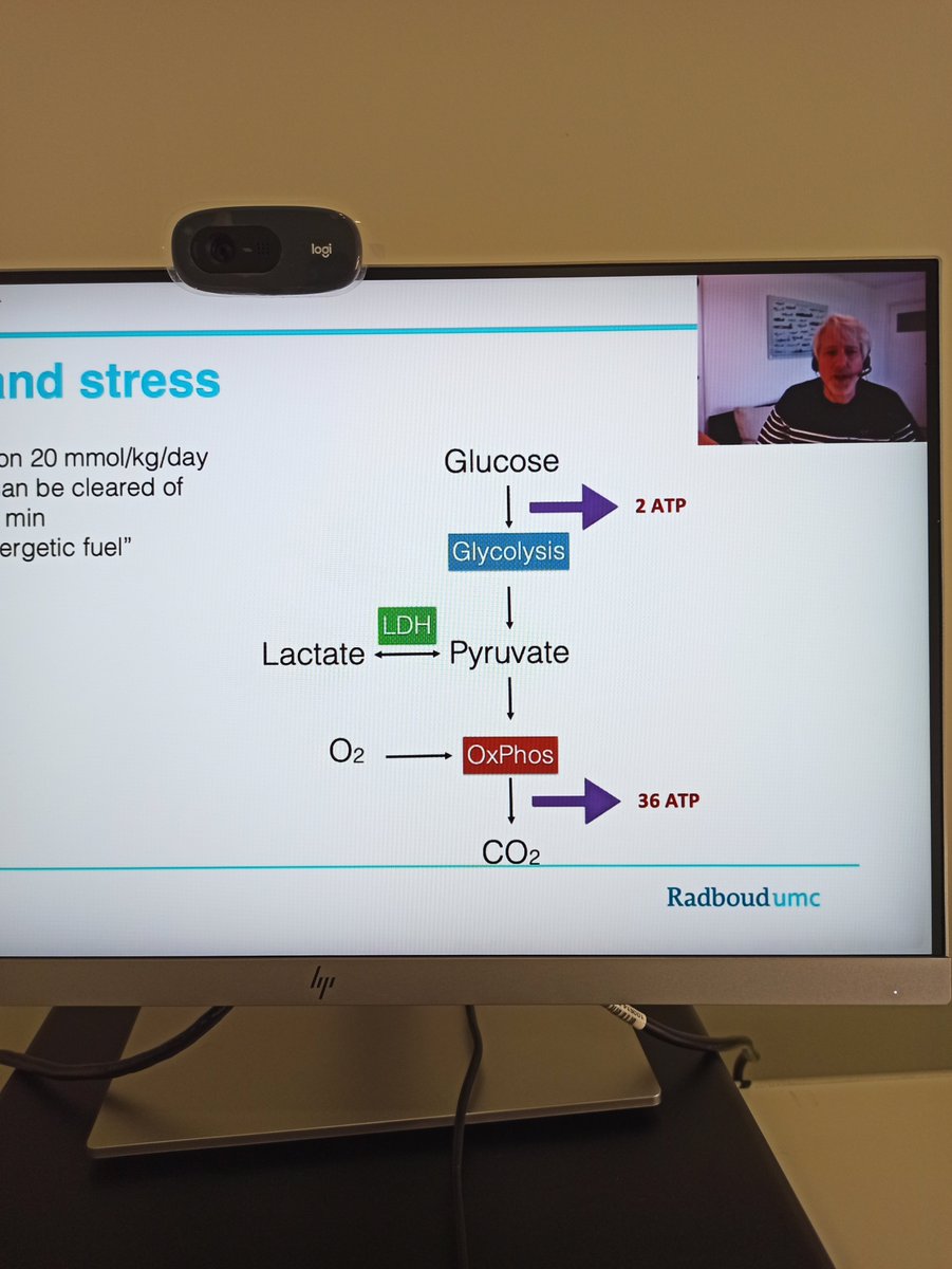 Javier Urbano (@urbano_javi) on Twitter photo Nice start at <a href="/ESPNIC_Society/">ESPNIC</a> congress with our Hemodynamics Masterclass, with 53 participants and super interesting questions.
#ESPNIC2021
#cardiovascular
#Hemodynamics
#PICU
<a href="/dryogensingh/">Yogen Singh</a> <a href="/jorislems/">Joris Lemson</a> Nice start at <a href="/ESPNIC_Society/">ESPNIC</a> congress with our Hemodynamics Masterclass, with 53 participants and super interesting questions.
#ESPNIC2021
#cardiovascular
#Hemodynamics
#PICU
<a href="/dryogensingh/">Yogen Singh</a> <a href="/jorislems/">Joris Lemson</a>