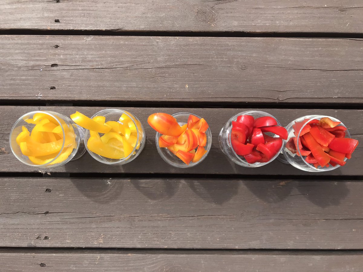 Viivi Wanhalinna tweet media