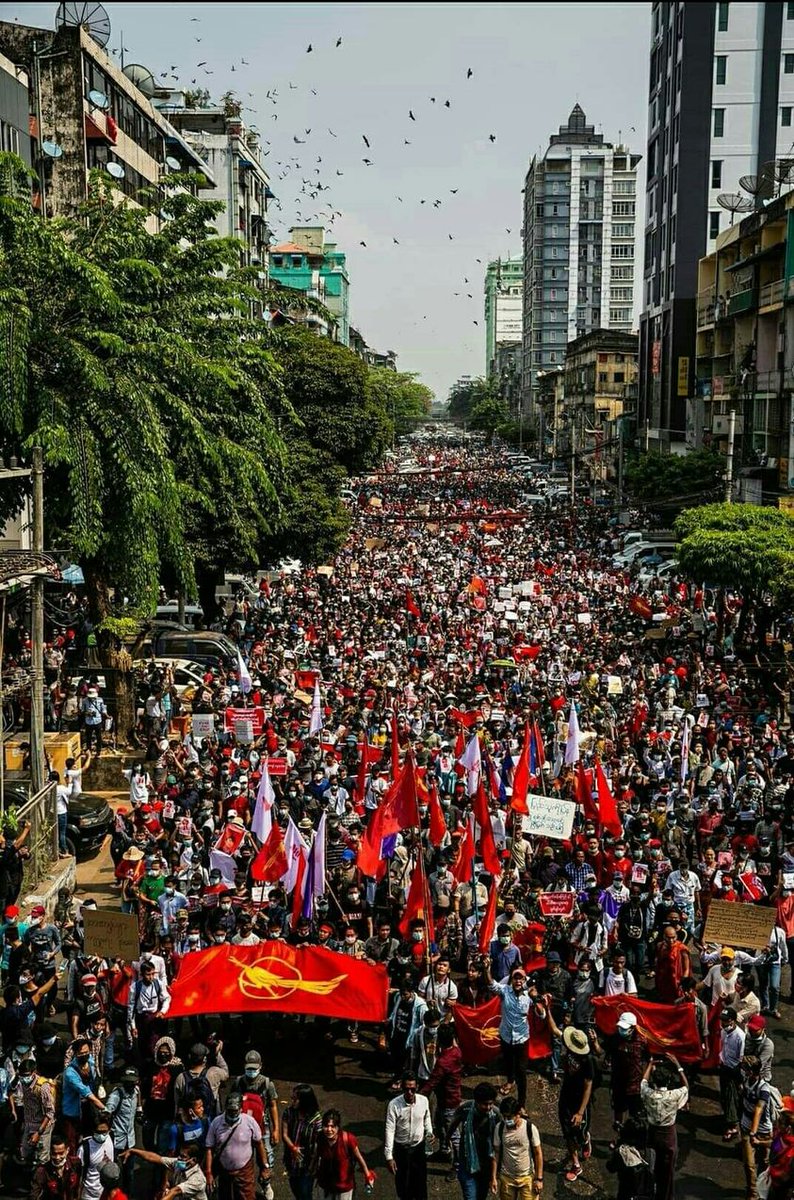 Protests don't look like this 👇anymore.
But no one I know has stopped opposing the military junta.  
If my network is a fair measure, it means that something like this 👇volume of people are still working hard, just not in the same visible ways.
The rotten tree is going to fall.