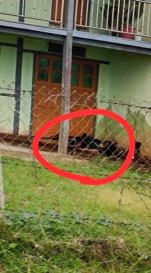 KhantNy28683547's tweet photo. @shafiur Tw // death 

Unidentified bodies supposed to be murdered by SAC terrorists were found on the streets of #Demoso township, #Karenni (Kayah) State. How many have been killed unknowingly? 
@UN @EUatUN 
#June15Coup 
#WhatsHappeningInMyanmar 
#HelpKayah
 https://t.co/RieTvQ5iX1 https://t.co/VTMcgxmK7F