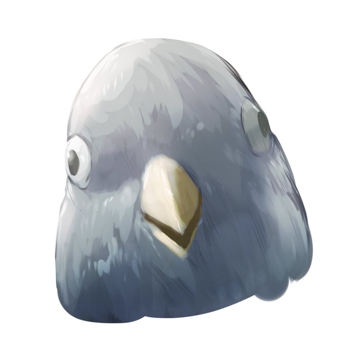 習作 ジュウシマツ住職模写 