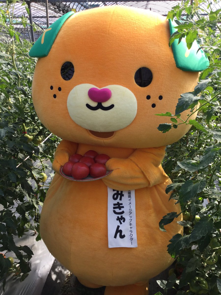みきゃん 公式 愛媛県イメージアップキャラクター Micanehime Twitter