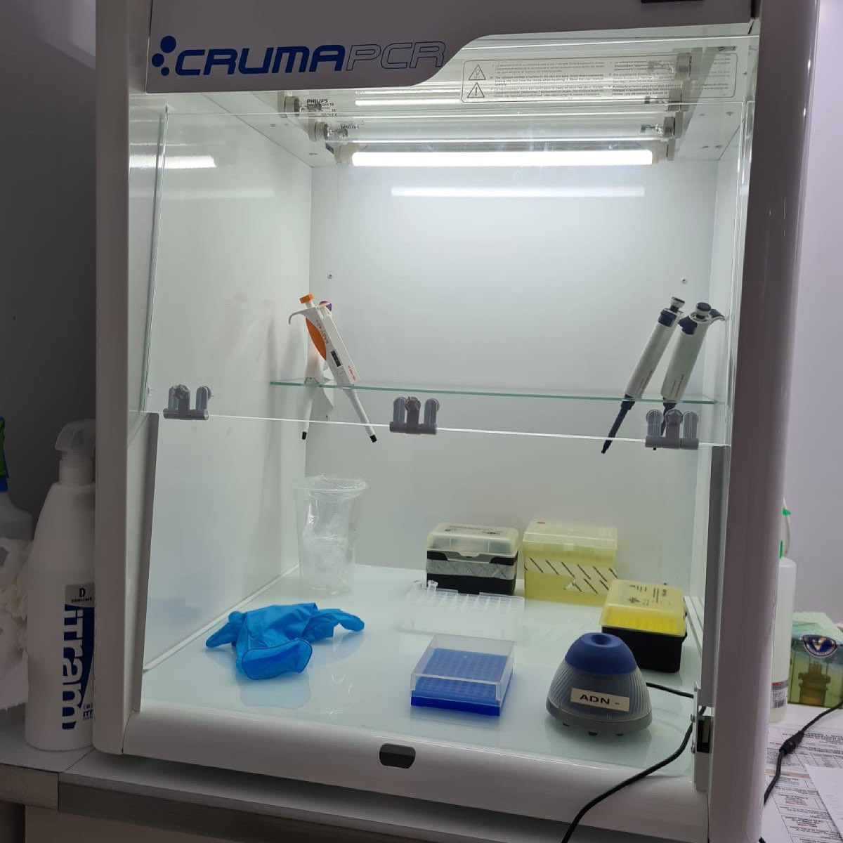 Bioramalaborat1's tweet photo. 🔬 ASESORÍA DE CALIDAD EN INDUSTRIA ALIMENTARIA BIORAMA GUIJUELO, S.L
👨🏼🔬 Exportación a Países Terceros
➖Sistema de Autocontrol específico para la exportación a países terceros (SAE)
➖Protocolo de exportación
✔️🇨🇳🇨🇦🇯🇵
✔️Etc.
#BioramaLAB #Guijuelo #AsesoriaDeCalidad https://t.co/QbZDGbHJF9