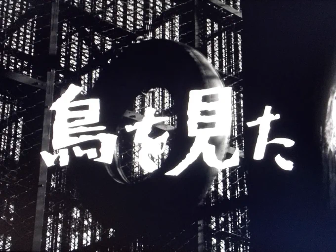 昨夜の #ウルトラQ (NHK・BS)は
「鳥を見た」
1966年の本放送時(もしくは再放送時)
由利ちゃんの「この鳥よ、似てるわ」に
「いやいや、全然似てへんやろ」と
心の中で突っ込んだ視聴者も
多かったのでは 