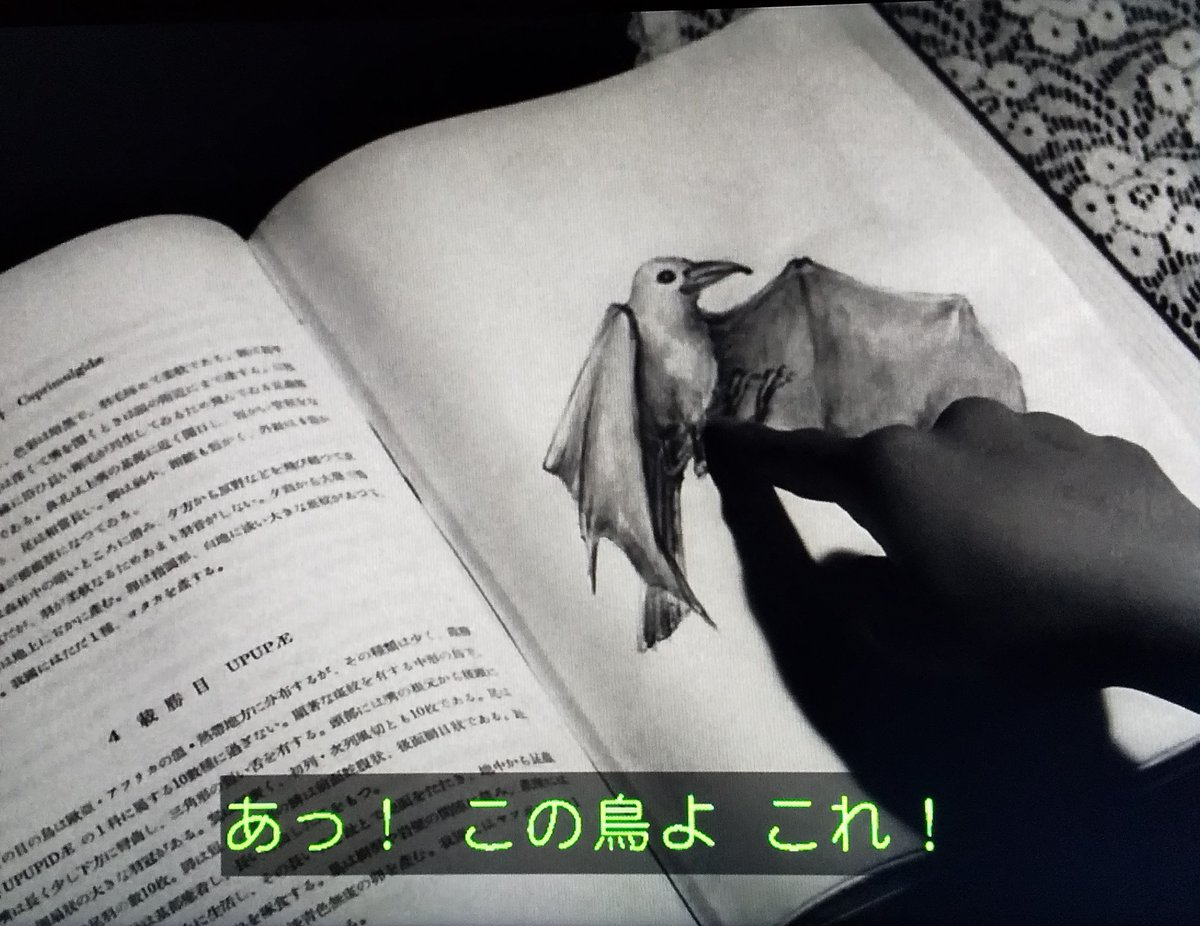 昨夜の #ウルトラQ (NHK・BS)は
「鳥を見た」
1966年の本放送時(もしくは再放送時)
由利ちゃんの「この鳥よ、似てるわ」に
「いやいや、全然似てへんやろ」と
心の中で突っ込んだ視聴者も
多かったのでは 