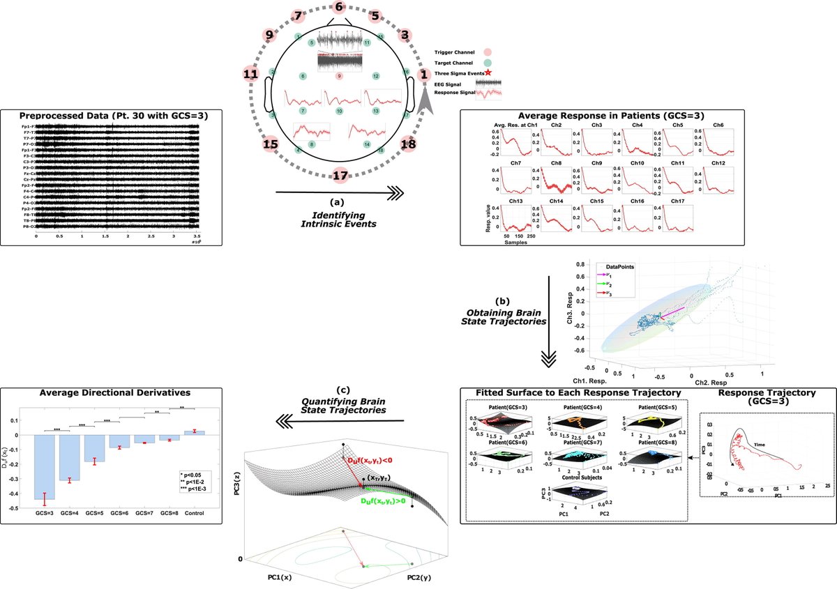 ClinicalNeuroph's tweet image. [EEG in coma] Khanmohammadi et al.: “Intrinsic brain dynamics distinguish different levels of consciousness in comatose patients.”

doi.org/10.1016/j.clin…
@WUSTL
#EEG #Comatose #ClinicalNeuroph