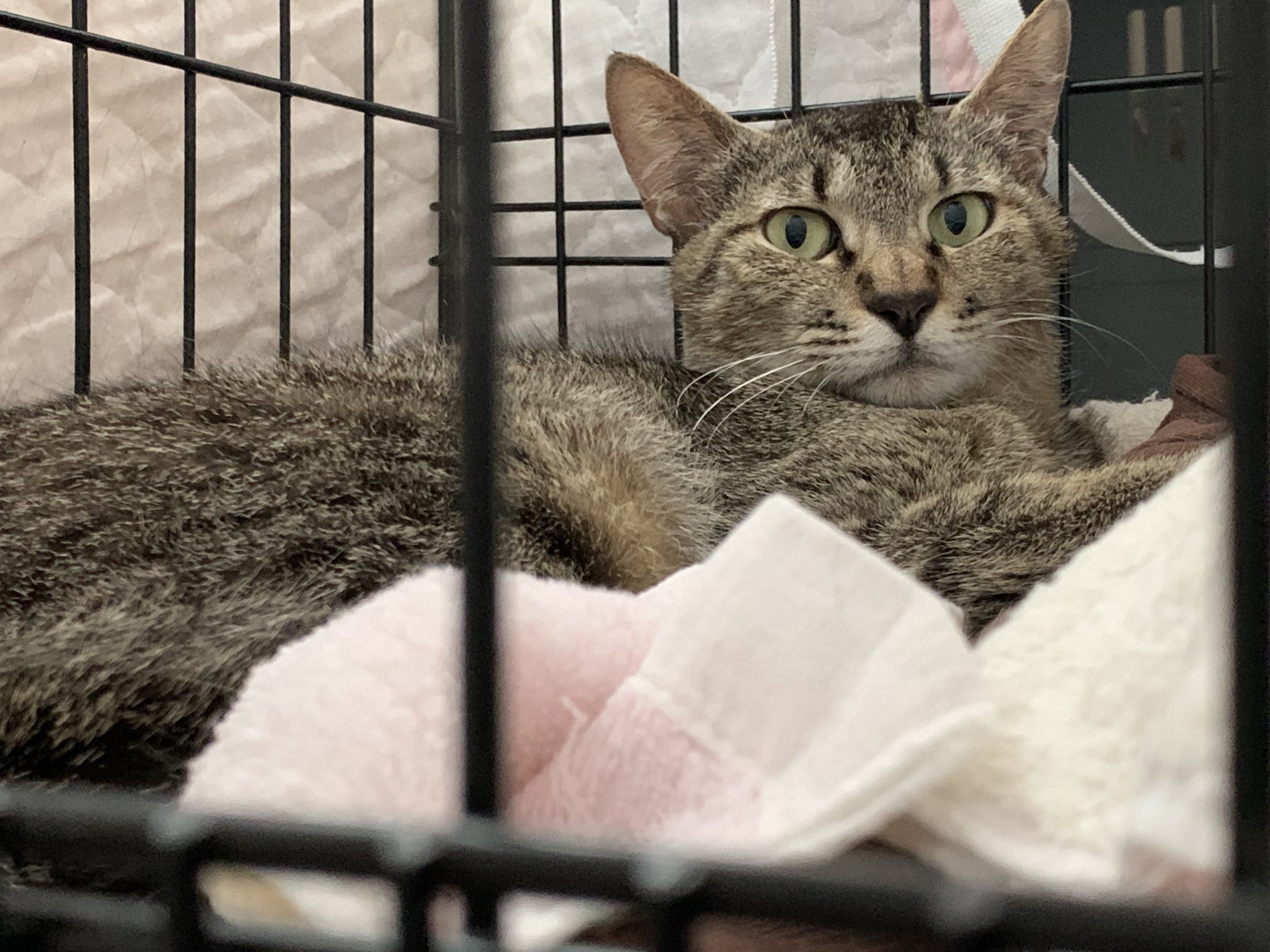 島忠松戸店 Twitter Search Twitter