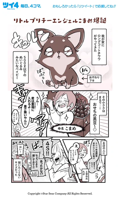 【4ページ読み切り】夏ノ瀬いの『溺愛ちわわ日記』 #ツイ4 