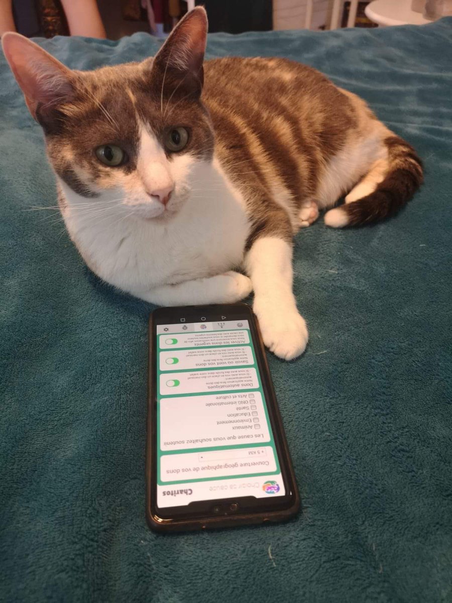 2021Charitos's tweet photo. Notre premier testeur &amp; mascotte de notre application 📱 
Le Chat « Ritos » 😼
Sans surprise il valide l’application 👍🏼 
@Psbeduparis @karina_pika @cedricmoretau @PerezOfficiel #TechForGood https://t.co/ChpnhC0HTk
