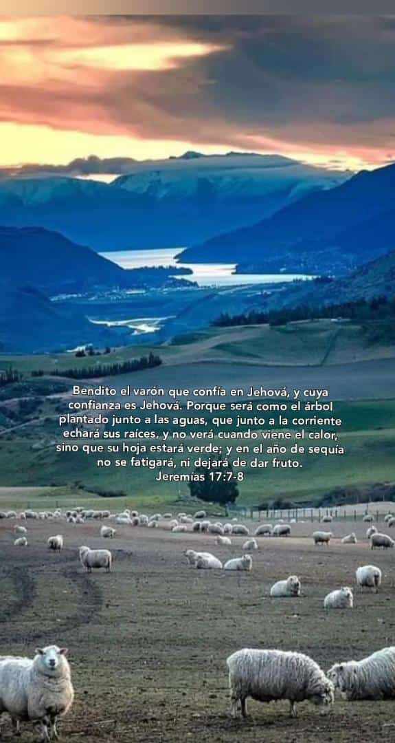 🇻🇪@𝕄𝕚𝕘𝕦𝕖𝕝𝕥𝟙𝟛🇻🇪 tweet media