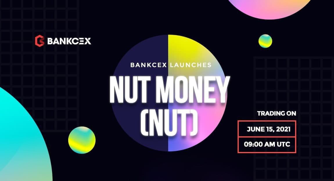 NutDefi's tweet photo. Now you can trade NUT on Bankcex with 2 pairs: NUT/USDT and NUT/BTC. This is the first exchange NUT listed in this month. We will do listing more exchanges soon  => Trade at: https://t.co/uXomKmoHCI https://t.co/IHUnTVGufC