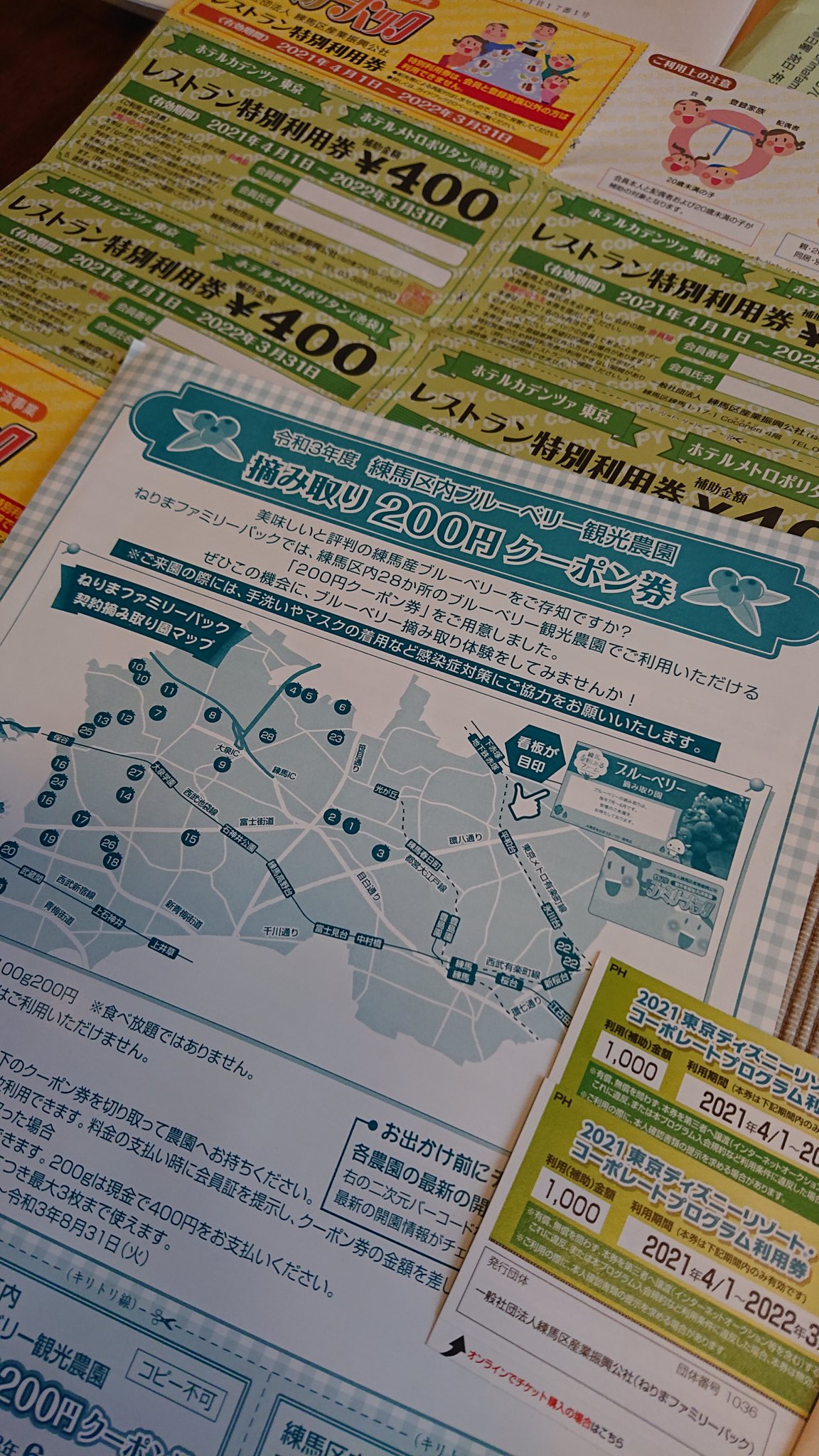 大成雅志 中小と自営対象の練馬ファミリーパックに入会 福利厚生 を考えて 会費1500円を払ったら ディズニー リゾート00円引き券と メトロポリタン Amp カデンツァ レストランで使える金券 30円分 ブルーベリークーポン 600円分 をその場で頂き