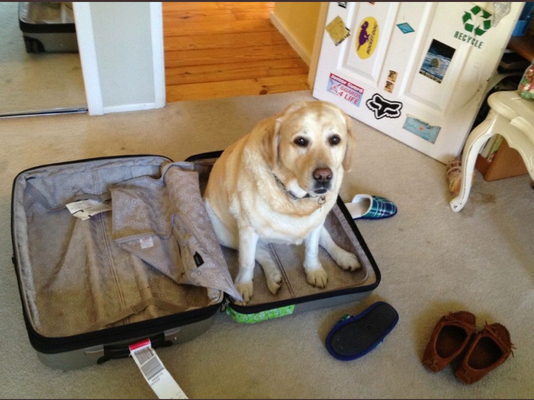 herhangi bir yere giderken sadece gerekli olan şeyleri alıyorum