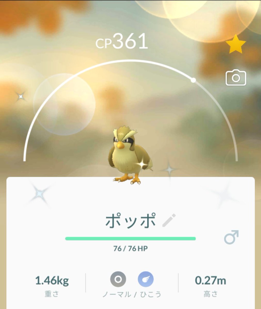 ポケモンgo ポッポの色違い 入手方法と実装状況 攻略大百科