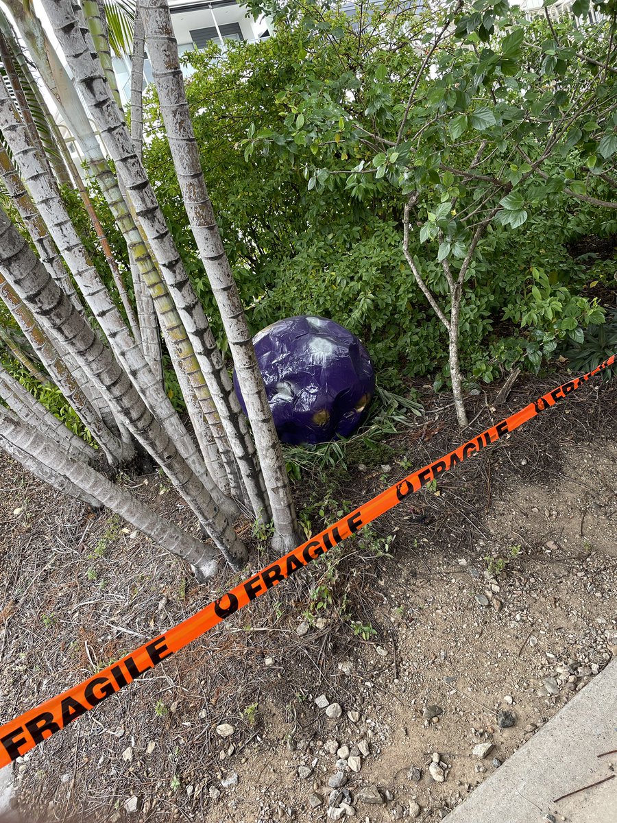 stspeternpauls's tweet photo. Year 2 got a BIG SURPRISE this morning when they arrived at school. 

They are busy working out what this is sitting on a nest in the garden 💡 

#learningtogetherforlife
#myamazingschool
#bceschools 
#teachchallengetransform https://t.co/HHLAbM1Xib