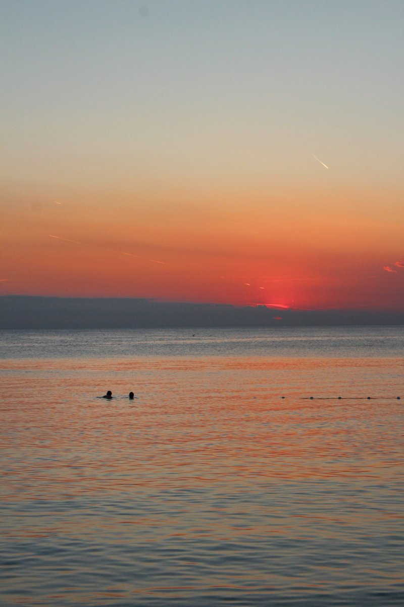 Peterino tweet media