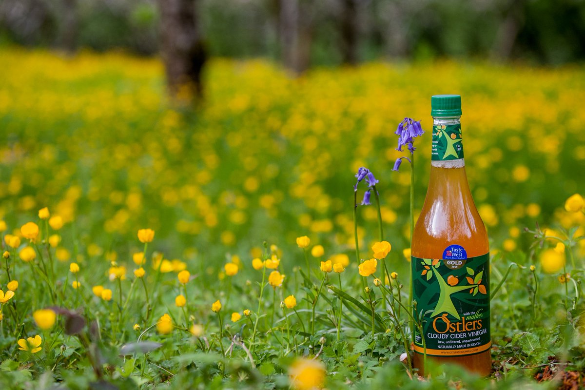 Find out the difference between our regular and vintage apple cider vinegar here!

ostlerscidervinegar.com/what-is-the-di…
