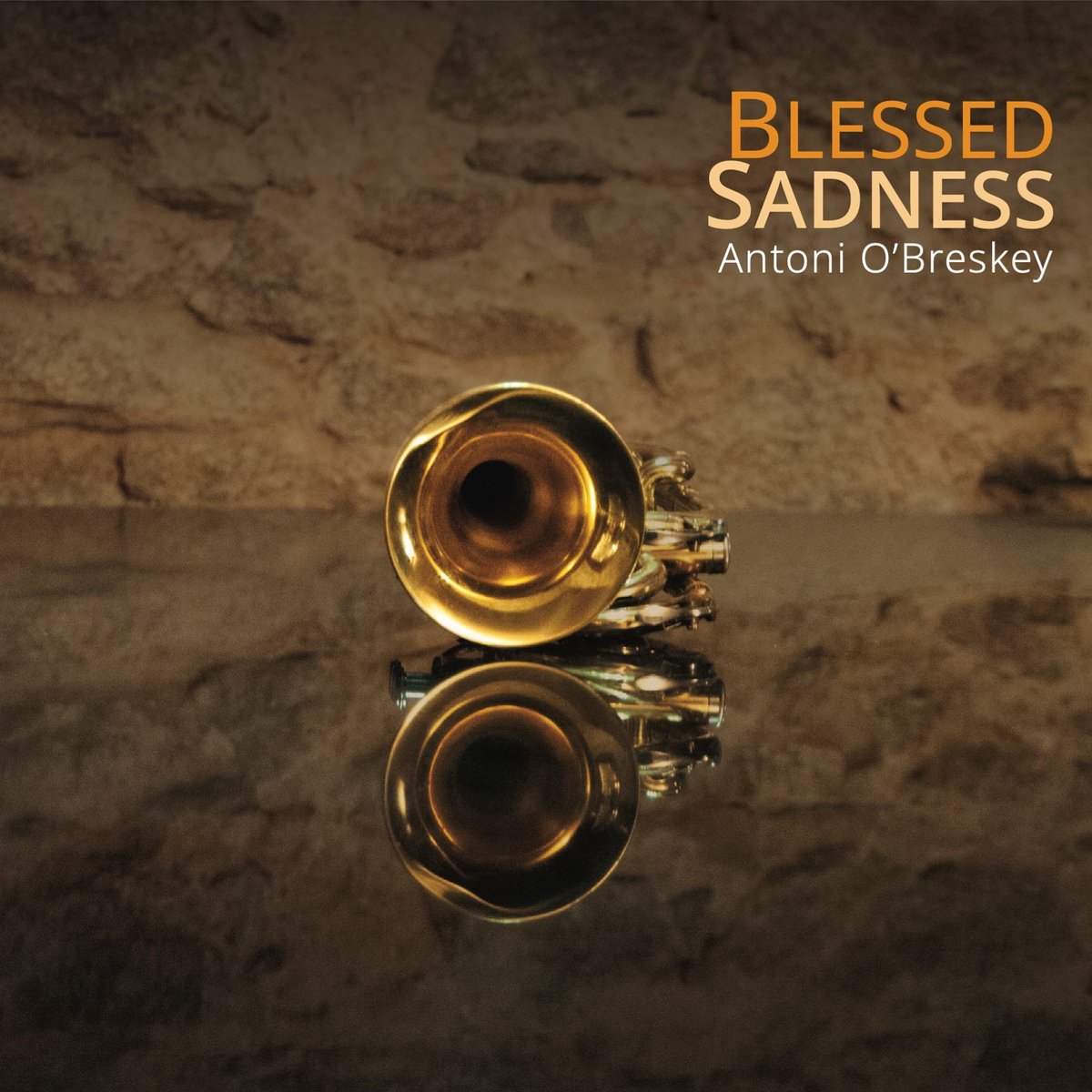 Antoni_OBreskey's tweet image. ✨It’s all set!!!✨
We are thrilled to announce that our new album ‘Blessed Sadness’ will be released on July 14th 2021.

With @Ultan_Music (@SlowMovinClouds), Consuelo Nerea (@Varo_Dublin), Davide Viterbo (Distant City)..and many more! 

Pre-order link: nomadicpiano.bandcamp.com/album/blessed-…