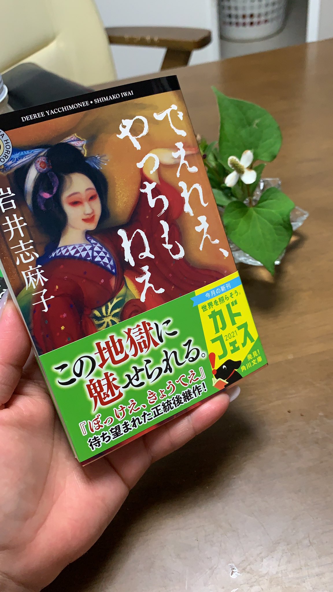 八郎と九兵衛 でぇれぇやっちもねぇ 岩井志麻子 T Co H2qiqs0dyi Twitter