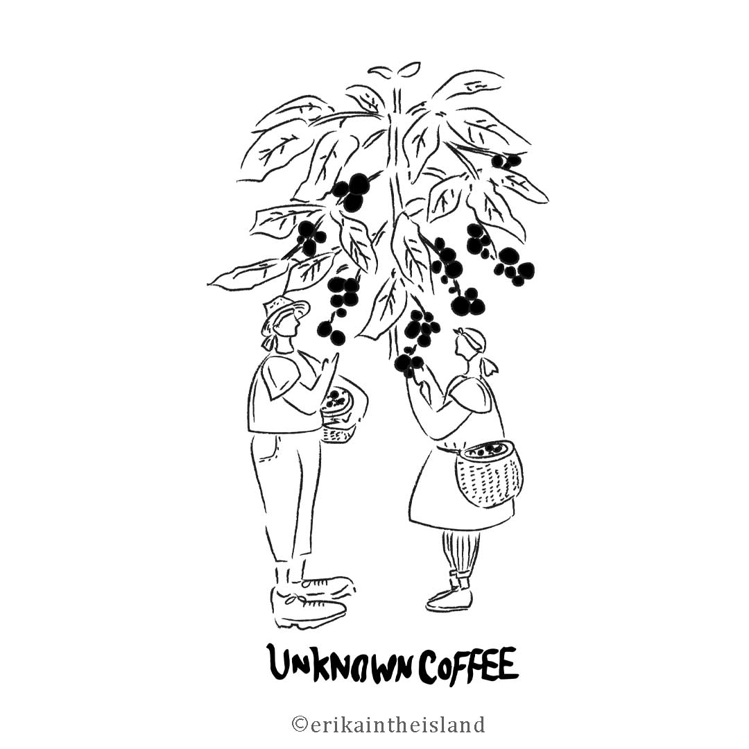 Twoucan コーヒーの木 の注目ツイート イラスト マンガ コスプレ モデル Twoucan コーヒーの木 の注目ツイート イラスト マンガ コスプレ モデル