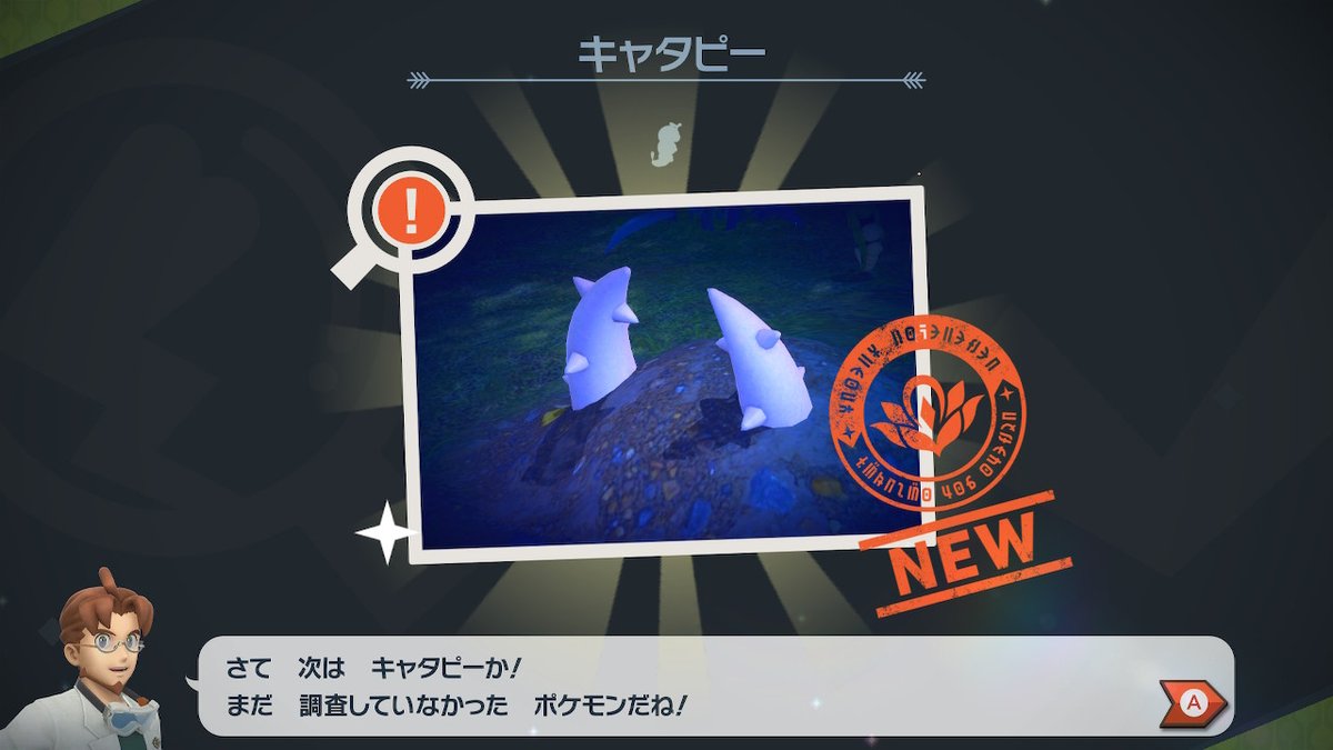 シカダ Newポケモンスナップへたくそ写真選手権 T Co Dxpax7ngtu Twitter シカダ Newポケモンスナップへたくそ写真選手権 T Co Dxpax7ngtu Twitter