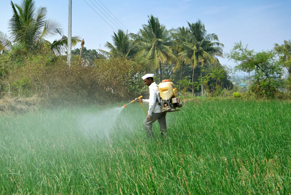 Aragen Life Sciences - FMC Corporation partnership aims at accelerating agrochemical pipeline

#Click 2 Read: agriculturepost.com/aragen-fmc-cor…

#Agrochemicals #ContractResearch #AgriculturalScience #CropProtection #PlantHealth #Agriculture