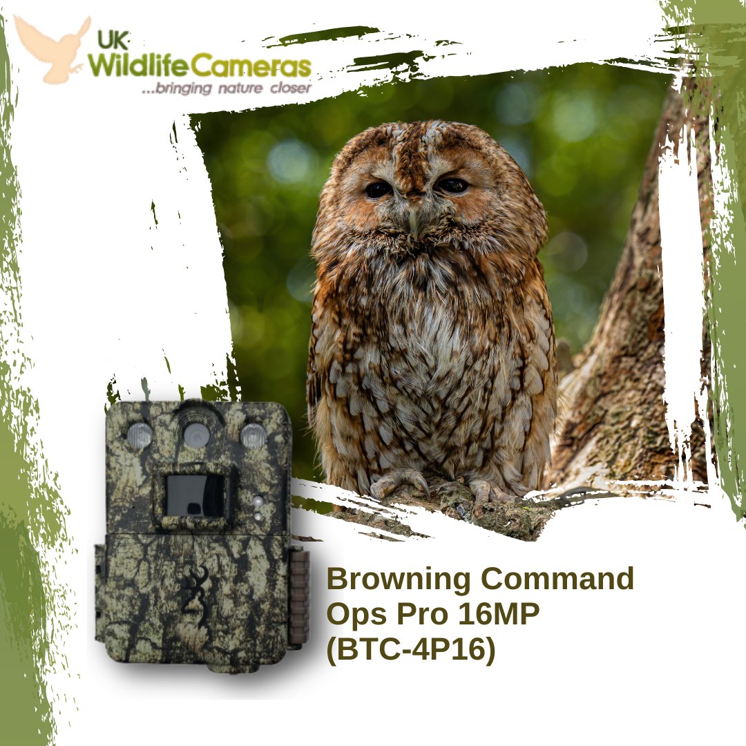 The Browning Command Ops Pro 16MP is part of a new lineup of trail cameras that offer form, function, and high quality at an affordable price.

Visit our website for more! ukwildlifecameras.co.uk

#ukwildlifecamera #wildlife #camera #nature #trailcams