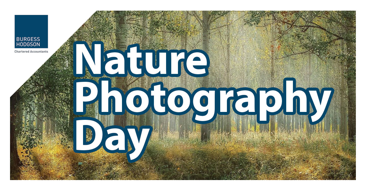 Today is #NaturePhotographyDay! What are your favourite places around #Kent to capture #nature? Let us know! #Photography #KentNature #NaturePhotography