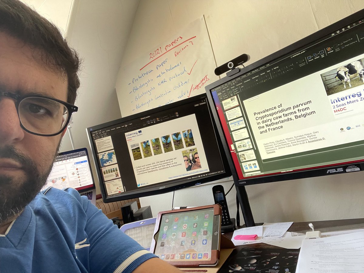Currently working on my tomorrow’s #IWOP2021 presentation on investigating #Cryptosporidium prevalence in #dairy #cows in the 2-seas area as part of our <a href="/h4dc_eu/">H4DC.EU</a> project! Looking forward to communicating our results to the #protists’ community! #dairycows <a href="/Interreg2Seas/">Interreg 2 Seas</a>