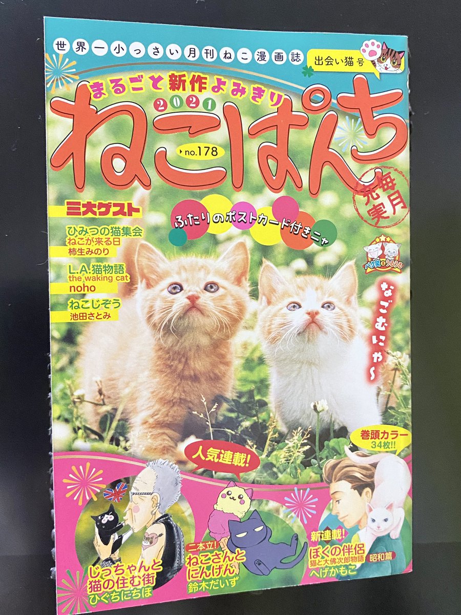 昨日発売になった「ねこぱんち 出会い猫号」に短い漫画載っけて頂いてます〜。お見かけの際にはどうぞよろしくお願いします🐈 