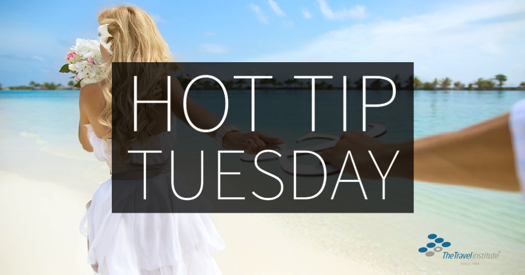 Hot Tip Tuesday: Romance Travel Is Heating Up! - mailchi.mp/thetravelinsti…
