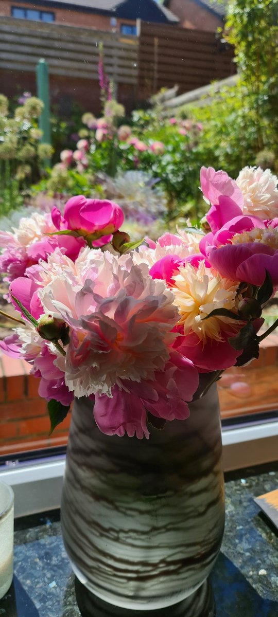 #BritishFlowersWeek @MarketFlowers beautiful peonies straight from the garden