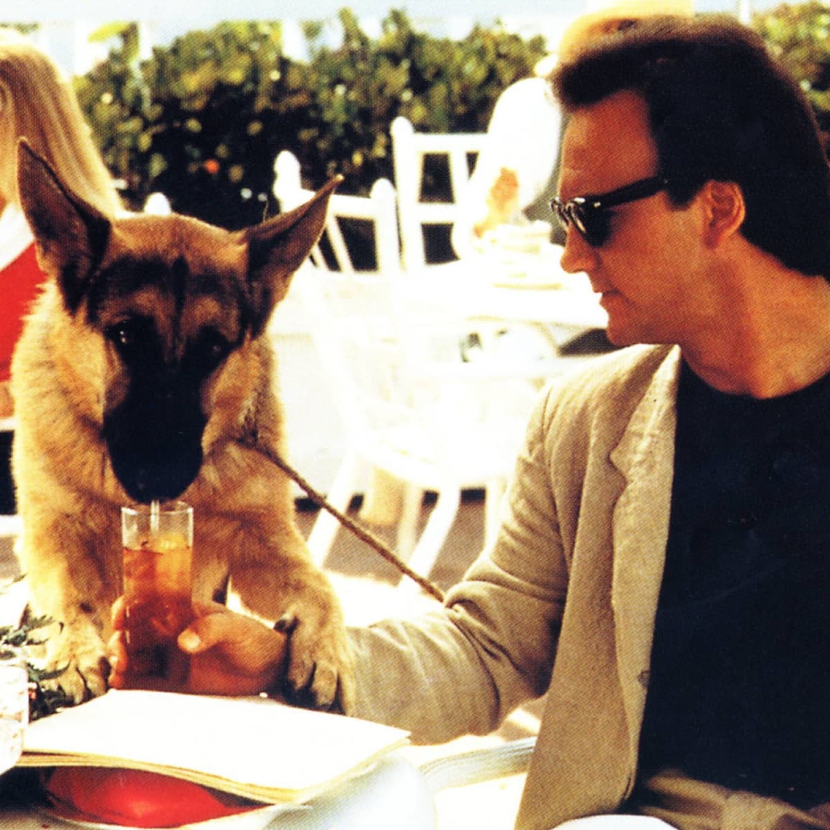 Happy birthday Jim Belushi, here as Police detective Michael Dooley with his partner \"Jerry Lee\" in K-9, 1989. 