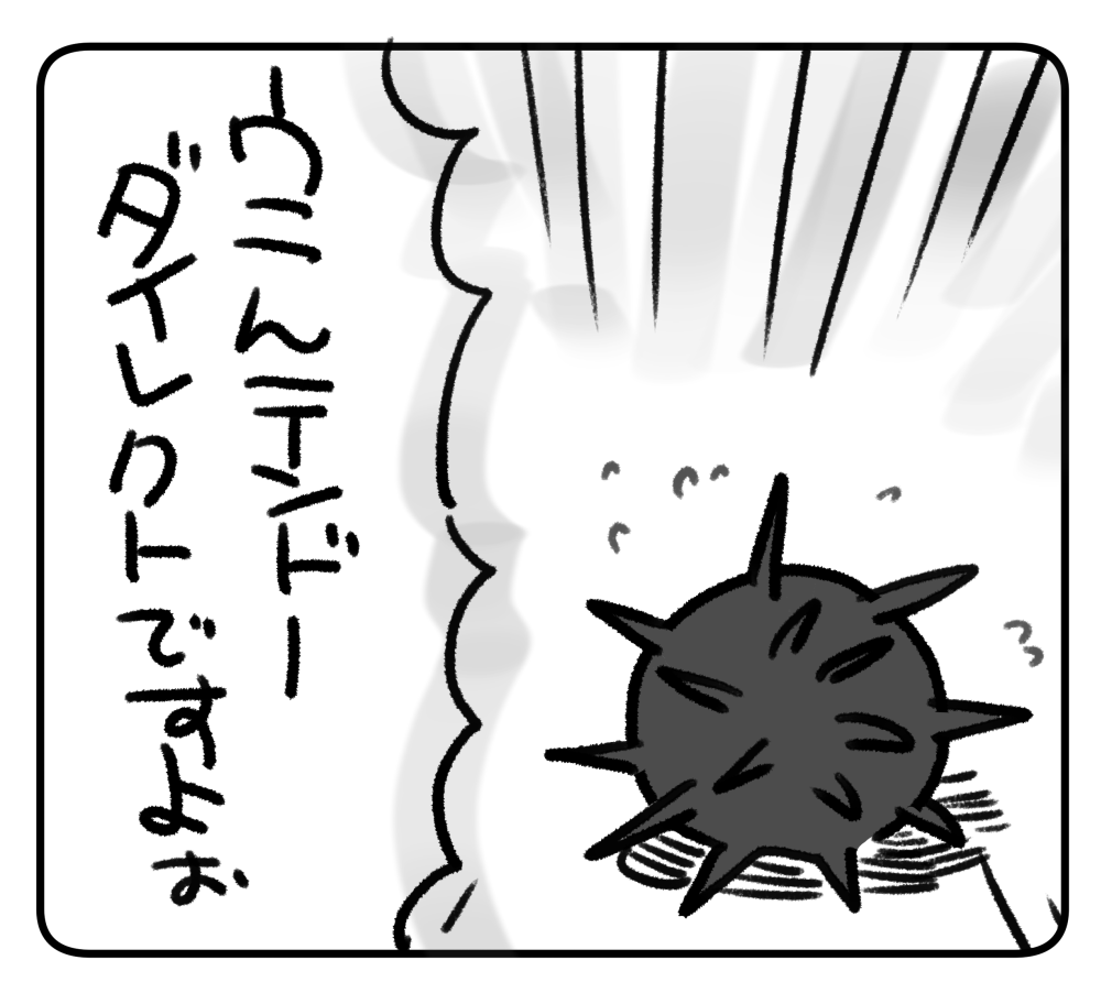 ✹ 