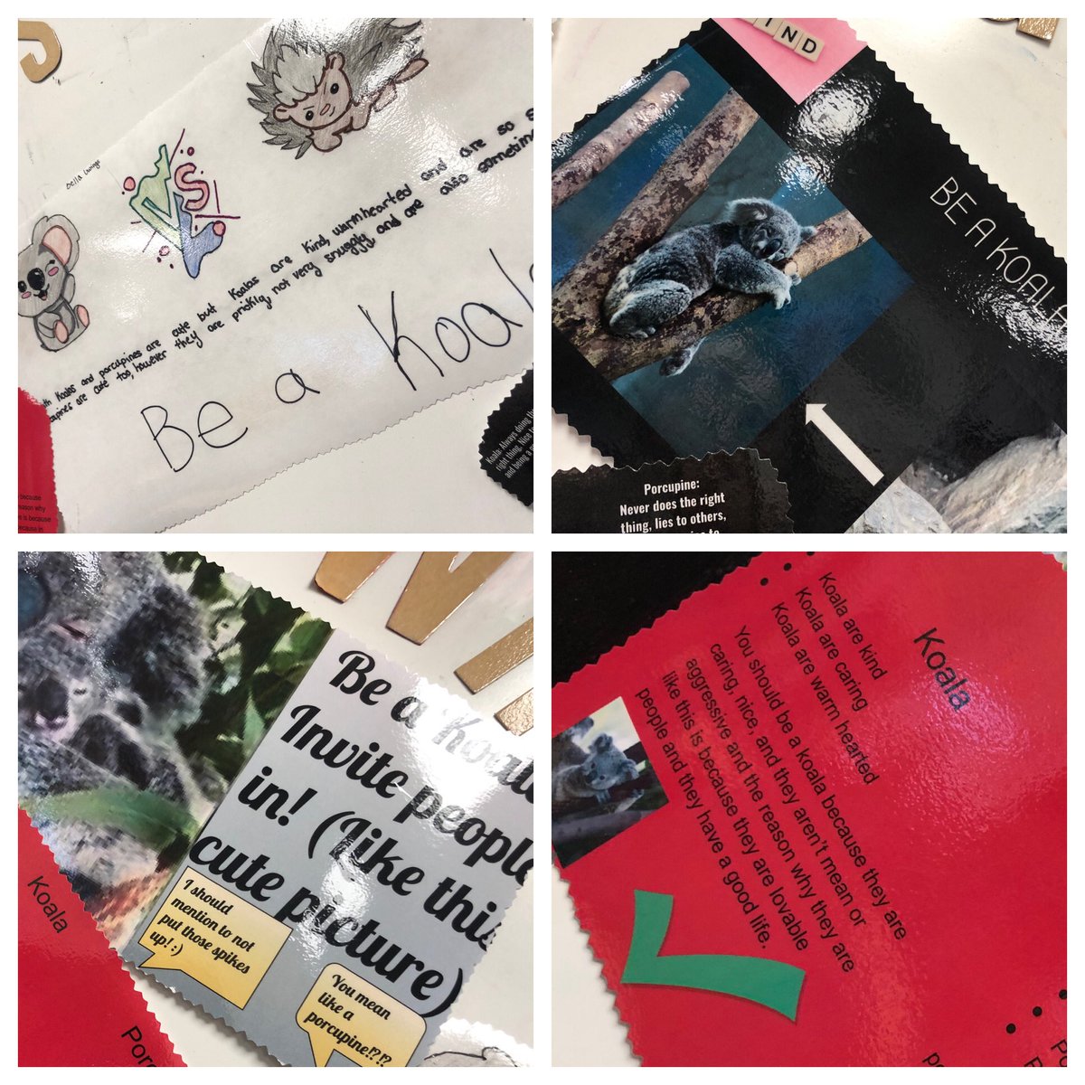 Be a Koala! Our daily reminder posters on how to be more empathic young adults! <a href="/GrowingLeaders/">Growing Leaders</a> #middleschool #rwkspirit #sel
