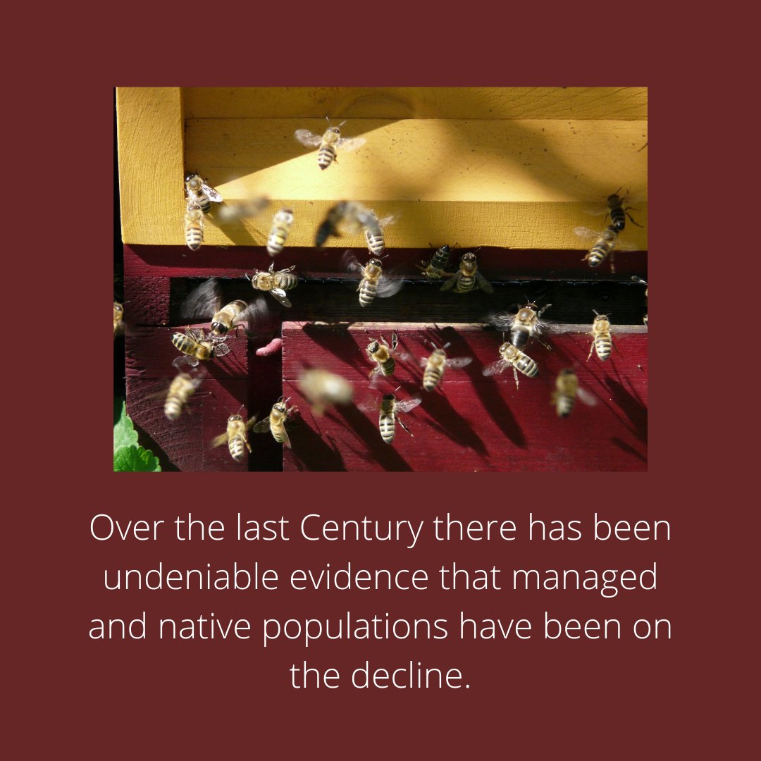 Native American Summer Mentorship Program tweet media