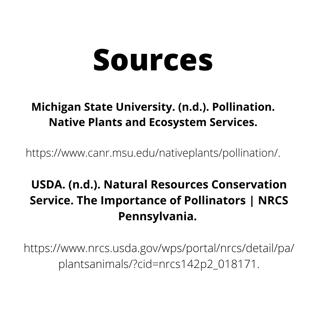 Native American Summer Mentorship Program tweet media