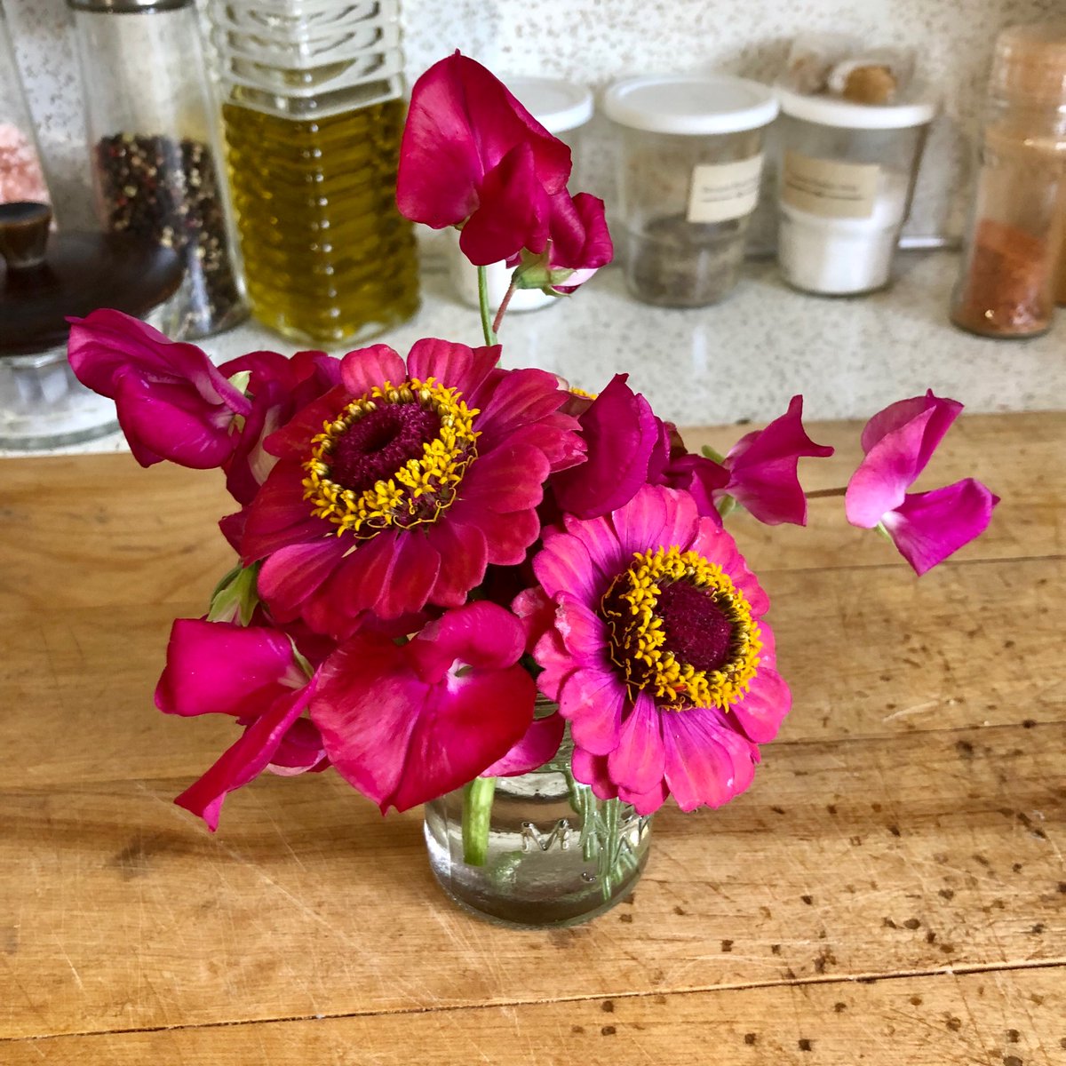 BarbwireBerries's tweet photo. Nothing brightens up the kitchen like a tiny jar of flowers from the garden. https://t.co/mIP2ZUr8XQ