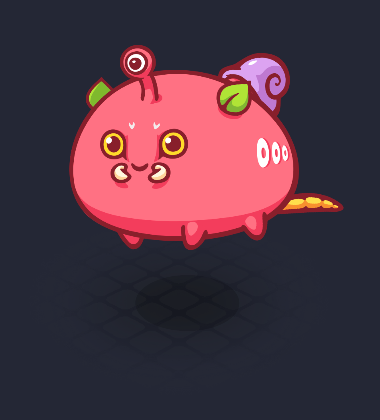 cryptbuck's tweet photo. 🚀AXIE BUG GIVEAWAY🚀

To participate:
1. RT 
2. Follow @cryptbuck, @AxieInfinity and @azarianaxs
3. Tag someone who needs to start playing Axie 

Winner will be announced 21/06 in this twitter! Good lucky! https://t.co/BttAsoE0SY