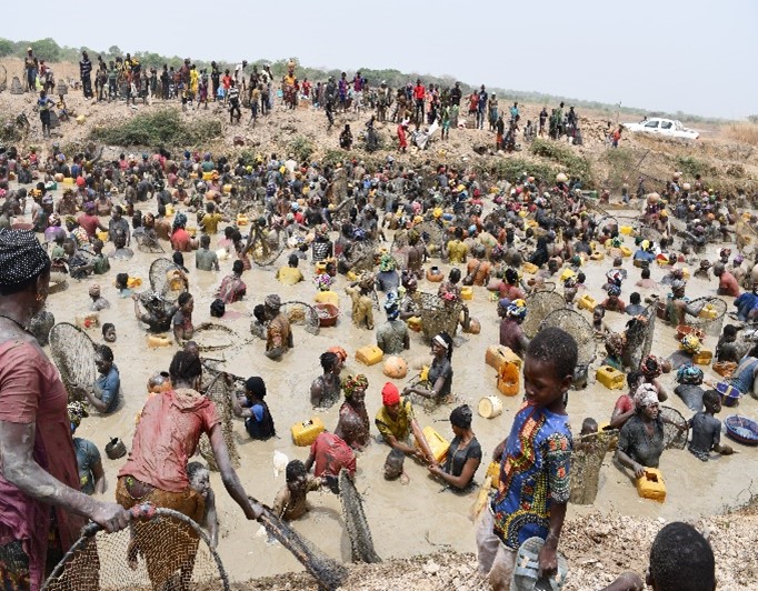 peged_pnud's tweet photo. #Pisciculture : En #Haute_Guinée🇬🇳 plus de 5️⃣2️⃣ tonnes de🐬 capturés dans les étangs aménagés et empoissonnés par le @PNUDGuinee , le #Japon  et la #Russie🇷🇺.
#Japon
@RussieConakry 
@GouvGN 
@pnudfr 
@PNUDGuinee 

Lire👉https://t.co/nkr4H2c9jK https://t.co/wRhuu25Lim