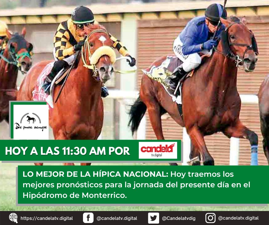 Candelatvdig's tweet photo. 📺 #ALAIRE: #DePuraSangre por @Candelatvdig 

🤑 APUESTE A GANADOR: Ya estamos junto al gran #DaniellRojas de #DespertarHípicoPerú con lo mejor de la hípica peruana para la jornada de hoy martes 🐎💲

@jcpoficialperu #HípicaPeruana #Deportes #CandelaTV https://t.co/5G74osaUGy