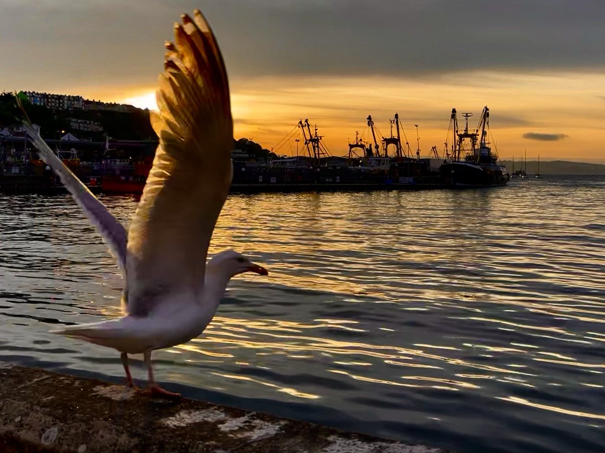 EagleEye009's tweet image. Perfect analysis and suggestions.
#TakeItEasy and go slow.
#EasingLockdown #Delhi #DelhiUnlock
#MaskUp 😷
#MaskUpIndia