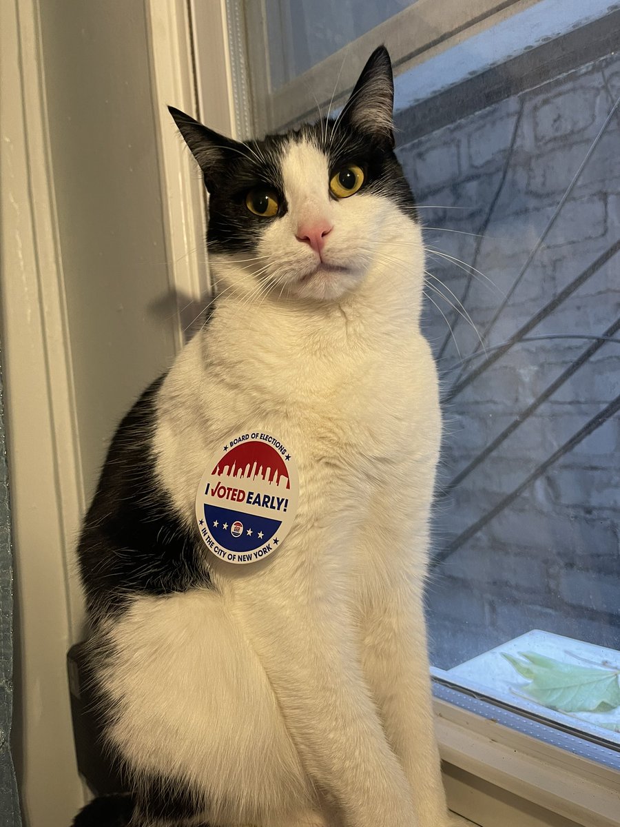 BirchEBirch's tweet photo. Make sure to #GOTV, humans! https://t.co/cEu0WK77Fh