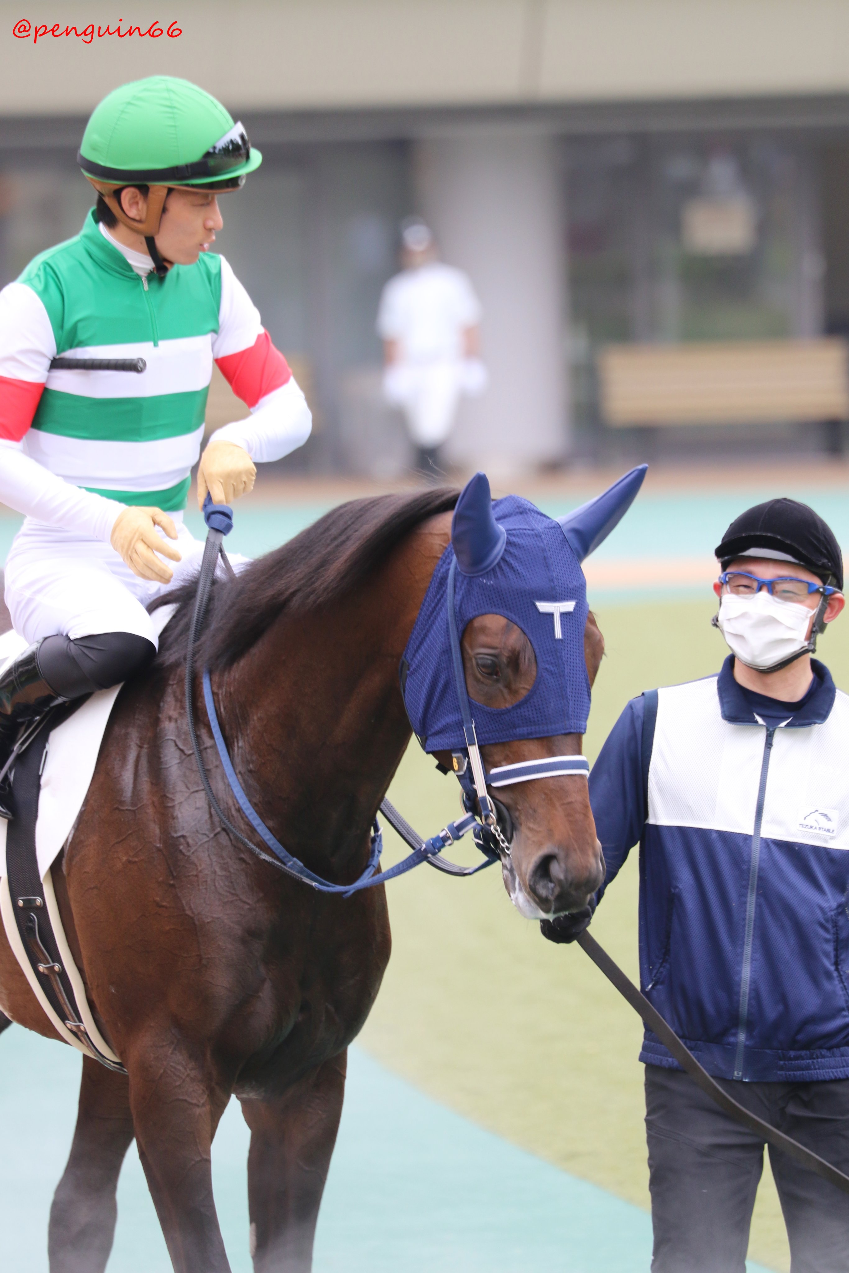 ぺんぎんさん 勝ち上がりおめでとうございます 東京5r 2歳新馬 6ヴァーンフリート リオンディーズの息子さん お母さんは ロスヴァイセさんです 手塚貴久 厩舎 馬主 有限会社キャロットファーム 生産者 ノーザンファーム ヴァーンフリート